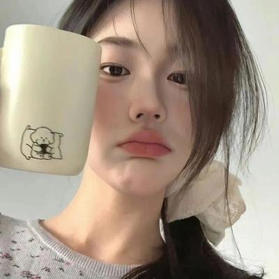 北非特警